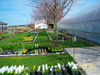 <a href="http://www.mcintoshgreenhouse.com">More Information Available at www.mcintoshgreenhouse.com</a><br><br>Fantastic opportunity on 14+/- acres just south of Goshen, IN with lots of frontage on US 33.  This property is currently zoned commercial-retail and consists of 16 greenhouses with 37,494 SF of heated growing area.  

In addition, it includes retail buildings, shop, and an approx. 1700 SF home adjacent to the business. Opportunities abound with this prime property and the second generation owners retiring and ready to consider offers.  Possible uses of this acreage is unlimited!  A Great location on a busy road, good access and paved parking for 66 vehicles.

 - 14+/- Acres Zoned Commercial-Retail